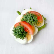 Håndmad m. Æg/tomat -  Bestilles 2 dage før